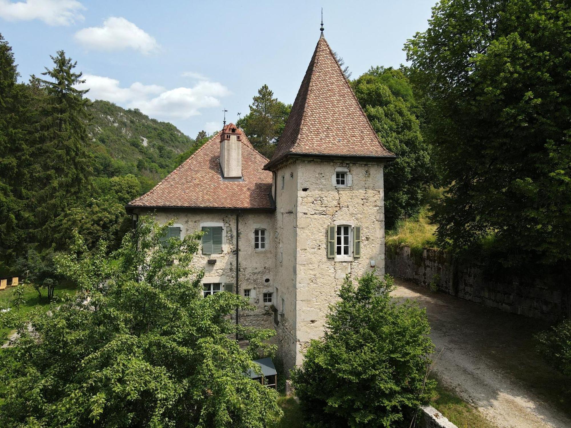 Domaine Du Tres-Haut - Chateau De Montanges Exterior foto